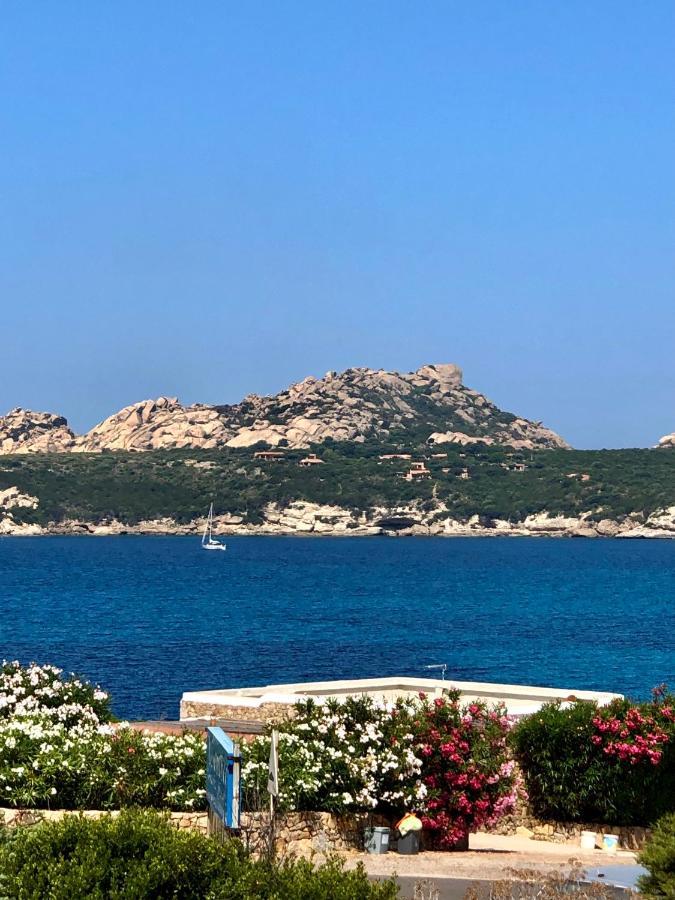 Appartamento Incantevole Con Vista Mare Buoncammino Extérieur photo
